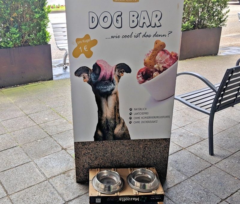 Hot or Not? Bruchsaler Eisdiele verkauft Eis für Hunde
