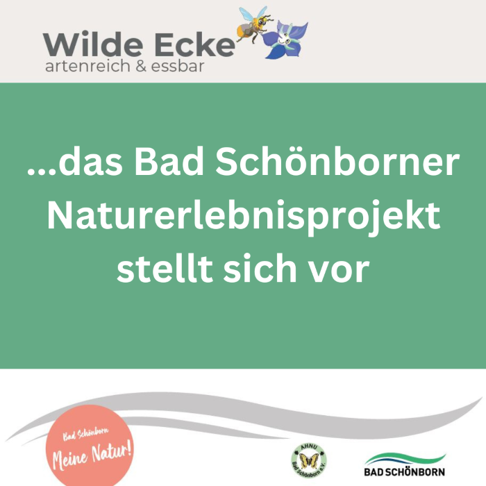 "Wilde Ecke - artenreich & essbar" - das Bad Schönborner Naturerlebnisprojekt